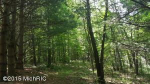 5630 E Butler Rd, Dowling, MI 49050 photo 15