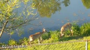 5630 E Butler Rd, Dowling, MI 49050 photo 12