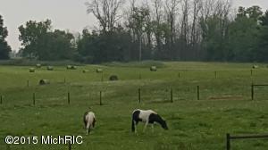 5630 E Butler Rd, Dowling, MI 49050 photo 10