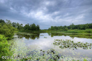 5630 E Butler Rd, Dowling, MI 49050 photo 41