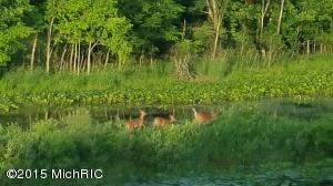 5630 E Butler Rd, Dowling, MI 49050 photo 13
