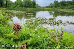 5630 E Butler Rd, Dowling, MI 49050 photo 42