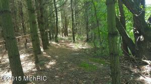 5630 E Butler Rd, Dowling, MI 49050 photo 14
