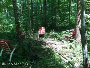2268 E Clear Lake Rd, Buchanan, MI 49107 photo 4