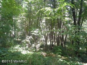1001 Grindle Dr, Lowell, MI 49331 photo 28
