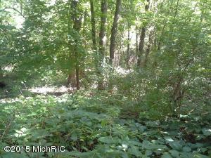 1001 Grindle Dr, Lowell, MI 49331 photo 29