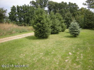 11581 Floating Bridge Rd, Marcellus, MI 49067 photo 3