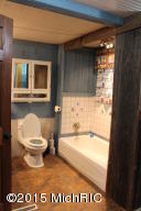 372 S Madison Ave, Custer, MI 49405 photo 14