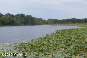 65096 Wade Rd, Cassopolis, MI 49031 photo 16