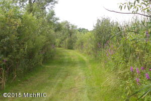 65096 Wade Rd, Cassopolis, MI 49031 photo 20