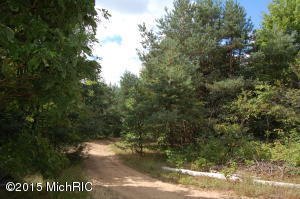 9657 68th Ave, Allendale, MI 49401 photo 32