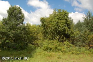 9657 68th Ave, Allendale, MI 49401 photo 31