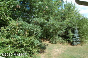 9657 68th Ave, Allendale, MI 49401 photo 33