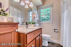 718 Allison Dr, Marshall, MI 49068 photo 27