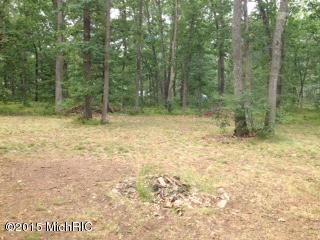 10587 Java Rd, Irons, MI 49644 photo 2
