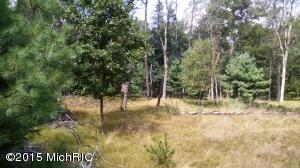 656 W Rainbow Trl, Baldwin, MI 49304 photo 4