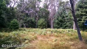656 W Rainbow Trl, Baldwin, MI 49304 photo 5