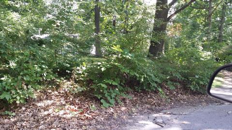 9519 Hilltop Dr, Jerome, MI 49249 photo 2