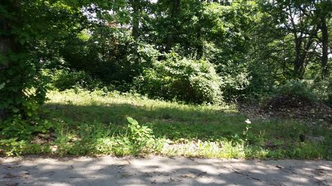 9519 Hilltop Dr, Jerome, MI 49249 photo 1