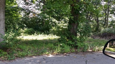 9519 Hilltop Dr, Jerome, MI 49249 photo 5