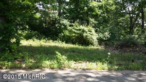 9519 Hilltop Dr, Jerome, MI 49249 photo 4