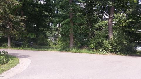 9519 Hilltop Dr, Jerome, MI 49249 photo 3