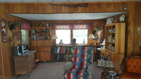 7403 E Adams, Walkerville, MI 49459 photo 8