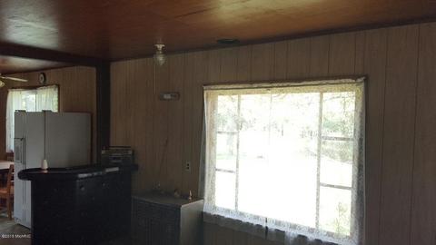 7403 E Adams, Walkerville, MI 49459 photo 29