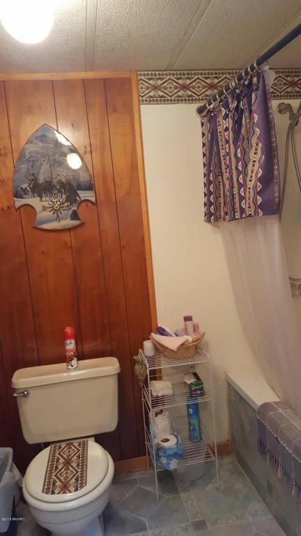 7403 E Adams, Walkerville, MI 49459 photo 21