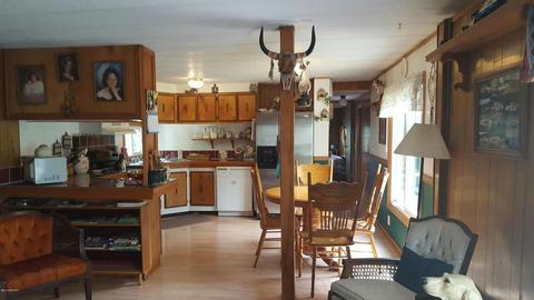 7403 E Adams, Walkerville, MI 49459 photo 6