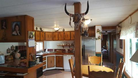 7403 E Adams, Walkerville, MI 49459 photo 9