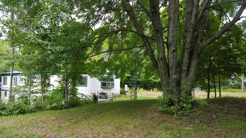 7403 E Adams, Walkerville, MI 49459 photo 30