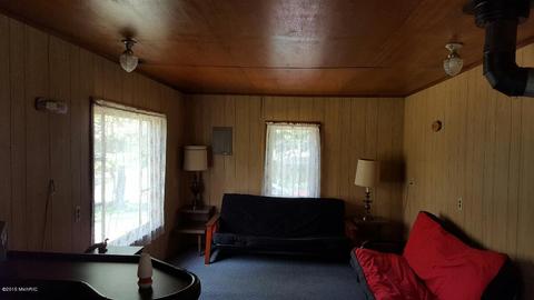 7403 E Adams, Walkerville, MI 49459 photo 27