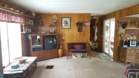 7403 E Adams, Walkerville, MI 49459 photo 7