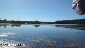 1774 S Camp Ave, White Cloud, MI 49349 photo 10