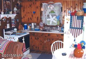 1774 S Camp Ave, White Cloud, MI 49349 photo 3