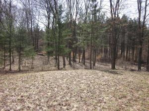 5454 N Pine Ave, White Cloud, MI 49349 photo 2