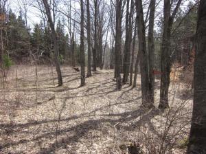 5454 N Pine Ave, White Cloud, MI 49349 photo 14