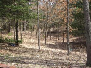 5454 N Pine Ave, White Cloud, MI 49349 photo 3