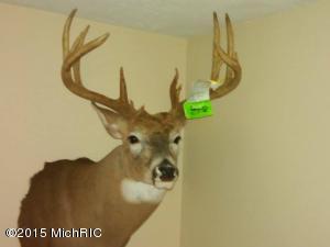 9491 Milo Rd, Plainwell, MI 49080 photo 64