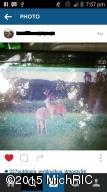 9491 Milo Rd, Plainwell, MI 49080 photo 62