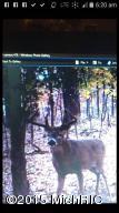 9491 Milo Rd, Plainwell, MI 49080 photo 60