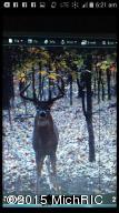 9491 Milo Rd, Plainwell, MI 49080 photo 59