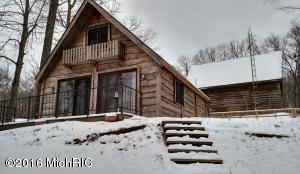 319 Harbison Dr, Bitely, MI 49309 photo 7