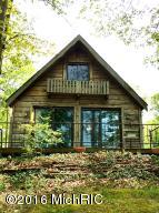 319 Harbison Dr, Bitely, MI 49309 photo 1