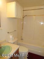 301 Sutherland Dr, Stanton, MI 48888 photo 6