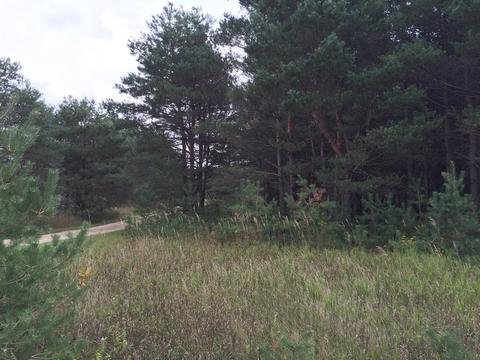 23768 220th, Paris, MI 49338 photo 3