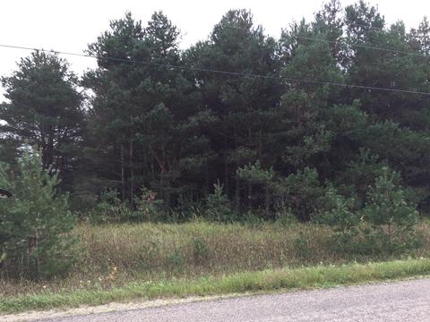 23768 220th, Paris, MI 49338 photo 5