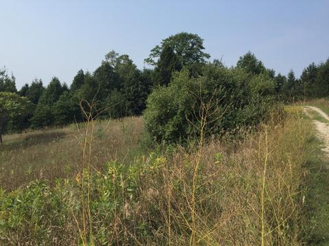 2304 E Jackson Rd, Hart, MI 49420 photo 3