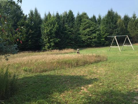 2304 E Jackson Rd, Hart, MI 49420 photo 13